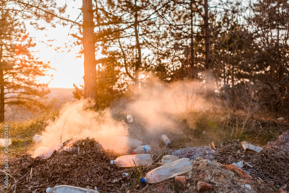 Fototapeta premium A load of burning leaves next to a bunch of bottles in the forest.