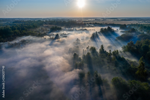 The rays of the morning sun make their way through the thick fog over the forest, field and river © alexkazachok