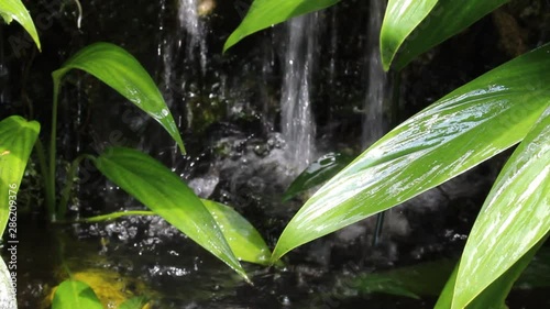 Blurred bokeh, beautiful natural water, glitter and flowing water