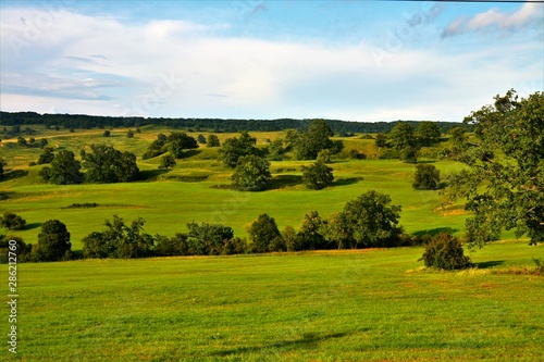 a green field with trees © sebi_2569