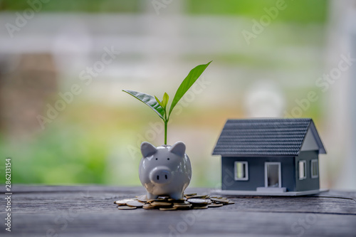 Money Saving Ideas for Homes, Financial and Financial Ideas, Saving Money in Preparing for the Future, Growing Up of Coins