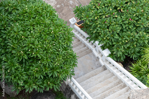 High view above, white concrete staircase with bushes.