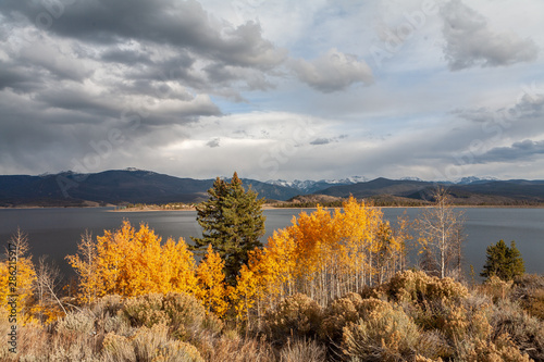 Aspen Stand in front of Lake Granby, Colorado