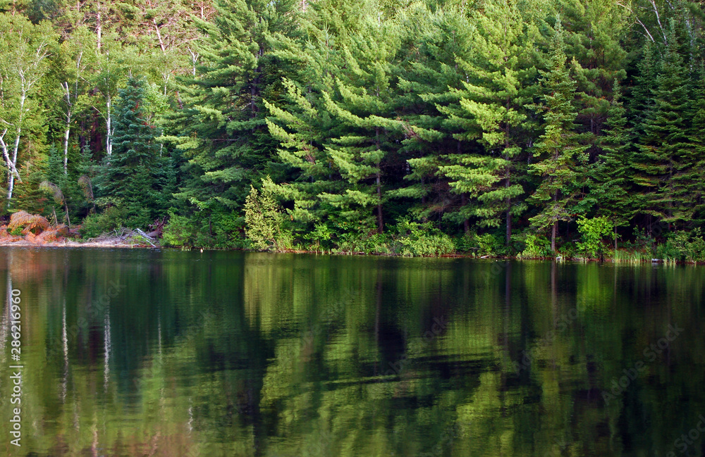 reflection reflection