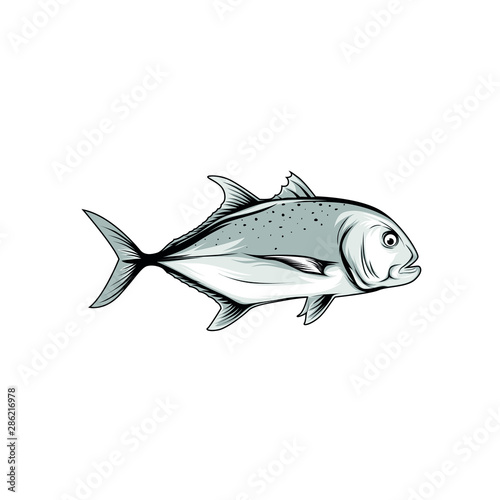 Vector of Giant Trevally on white background. Fish cartoon.