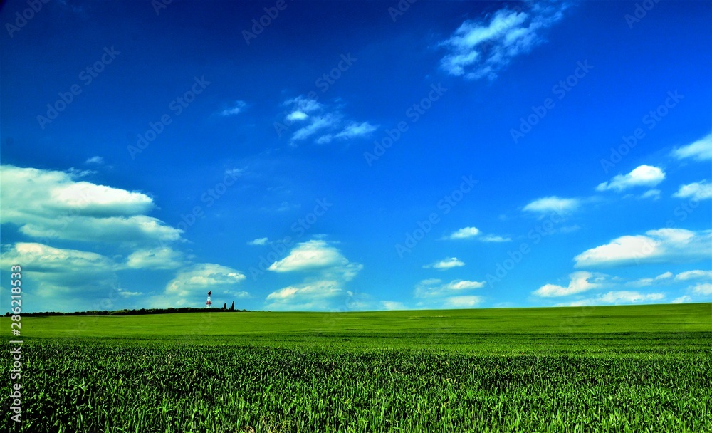 a field with green wheat and blue sky a field with green wheat and blue sky