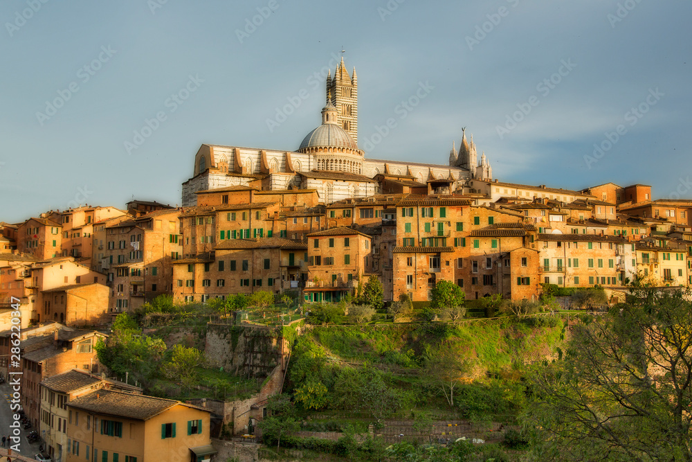 Fototapeta premium Panoramic View of Tuscan Landscape