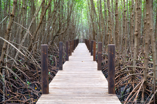 Fototapeta Naklejka Na Ścianę i Meble -  Picture of a wooden walkway to study the nature of the mangrove forest.