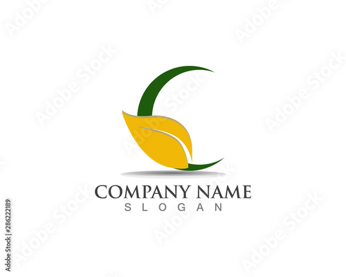 Vector leaves green nature logo and symbol