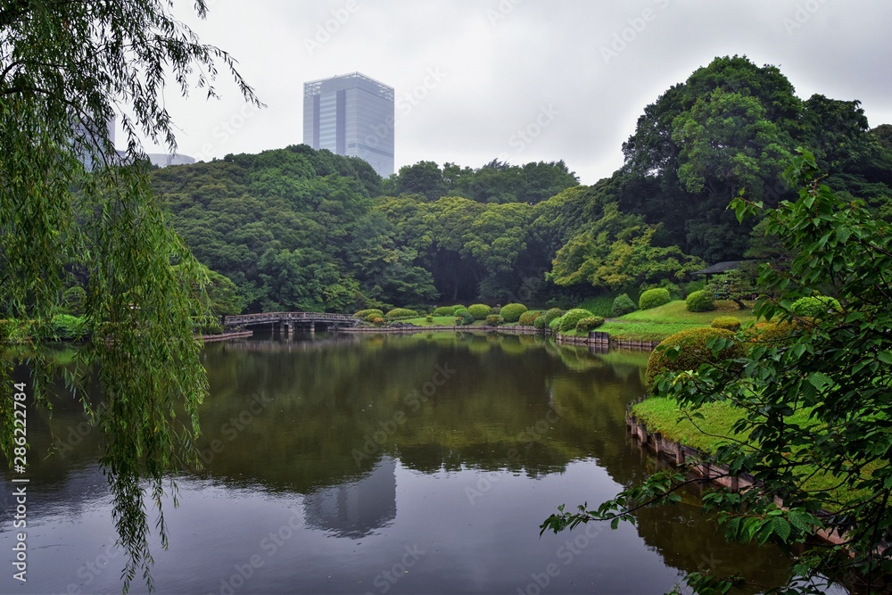 Traditional Japanese gardens in public parks in Tokyo, Japan. Views of stone lanterns, lakes, ponds, bonsai and wildlife walking around paths and trails. Asia. Traditional Japanese gardens in public parks in Tokyo, Japan. Views of stone lanterns, lakes, ponds, bonsai and wildlife walking around paths and trails. Asia.