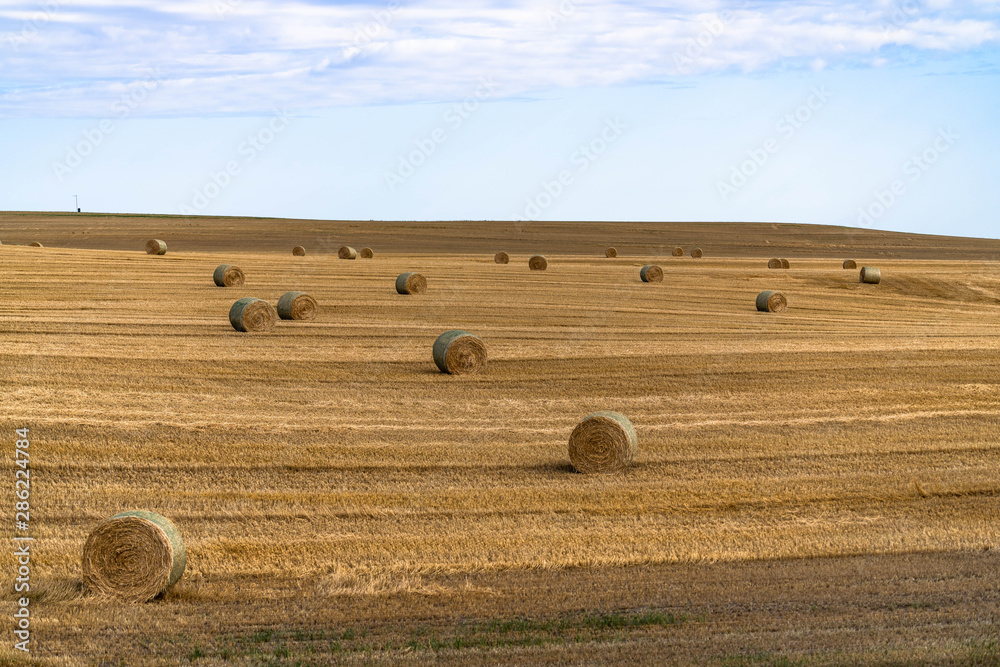 Multiple hay bales in field with simple sky.
