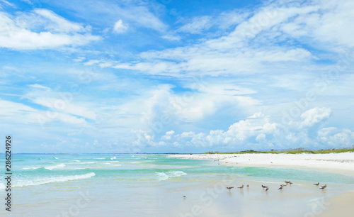 Obraz na plátně Panorama of the Beautiful White Sand Beach of the Florida Gulf Coast