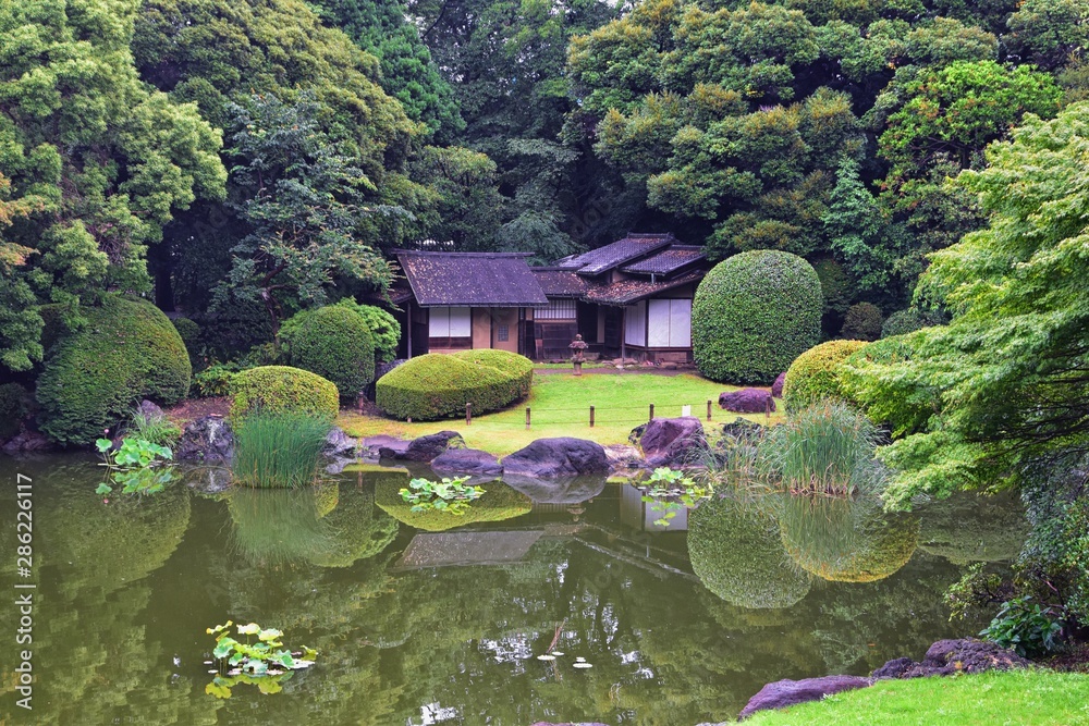 Traditional Japanese gardens in public parks in Tokyo, Japan. Views of stone lanterns, lakes, ponds, bonsai and wildlife walking around paths and trails. Asia. 