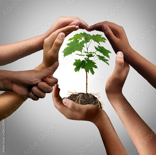Multicultural Hands Holding A Plant