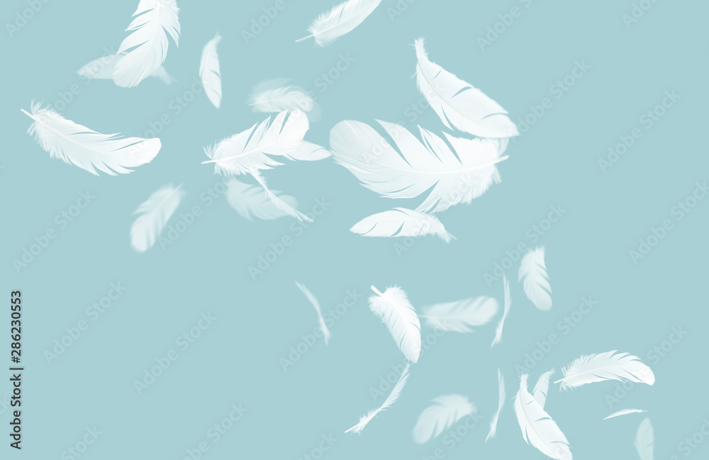 abstract, white feathers floating in the air, blue pastel background. abstract, white feathers floating in the air, blue pastel background.