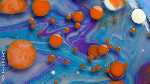 Macro Experimental Colors Video Background