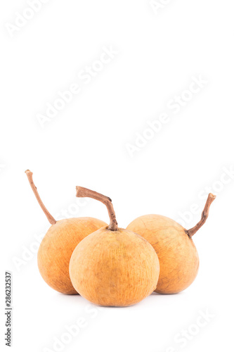 sandoricum santol is tropical fruit  on white background planting agriculture food isolated