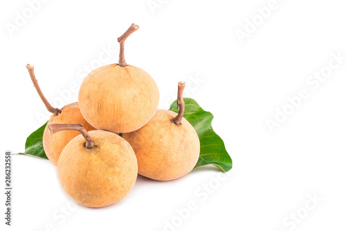 ripe santol fruits group and green santol leaf on white background planting agriculture food isolated