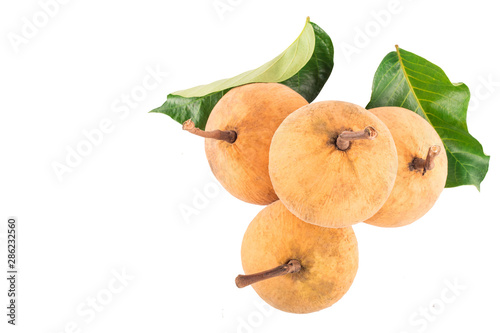 Fototapeta Naklejka Na Ścianę i Meble -  bunch of sweet santol fruits and santol leaf on white background planting agriculture food isolated