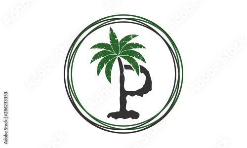 palm tree on tropical island