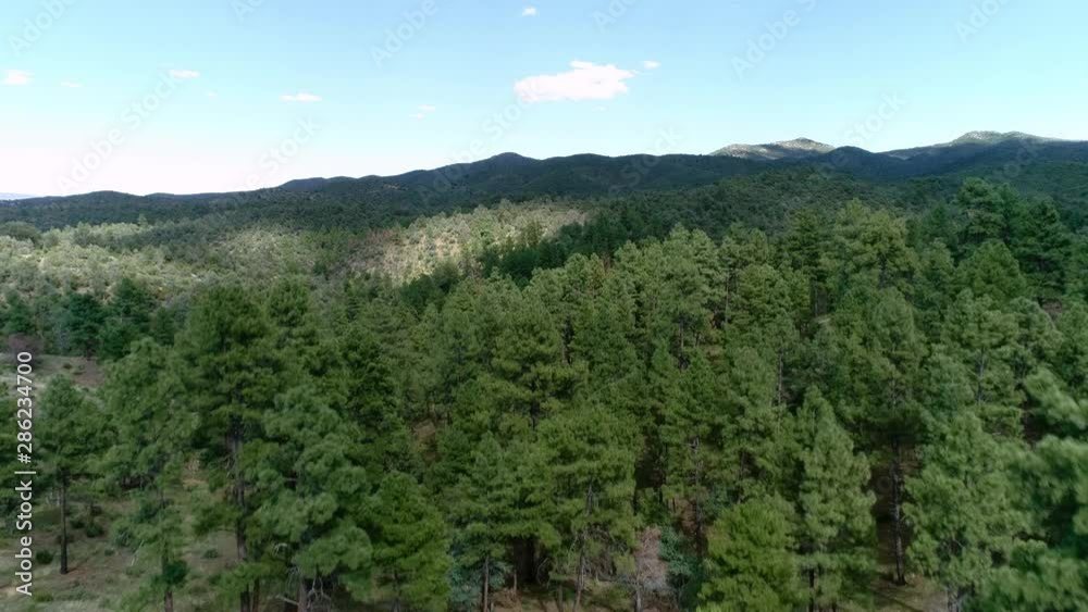 Flying up to Reveal Shadowy Dramatic Mountain Hil Landscape with Epic Sky and Sprawling Trees Flying up to Reveal Shadowy Dramatic Mountain Hil Landscape with Epic Sky and Sprawling Trees