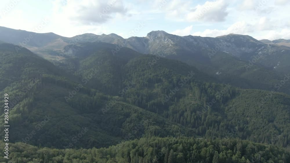 Beautiful mountain covered in a wild forest Beautiful mountain covered in a wild forest