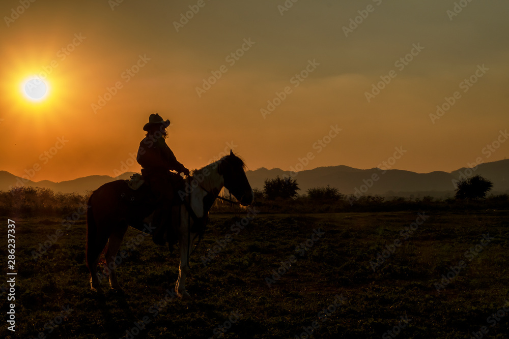 silhouette of aman riding horse  at sunset with mountain background