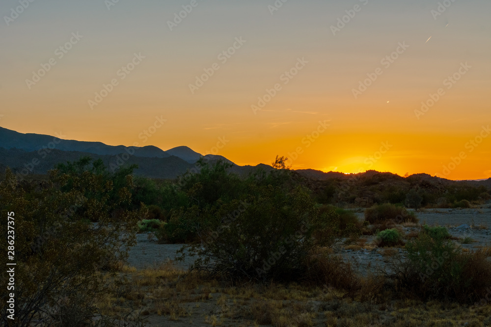 Sunset, Joshua Tree National Park,  California