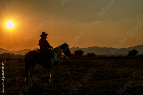 silhouette of aman riding horse  at sunset with mountain background © AUNTYANN