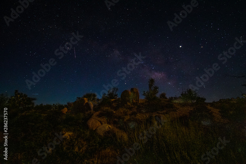 Night Sky at Joshua Tree National Park,  California © TSchofield