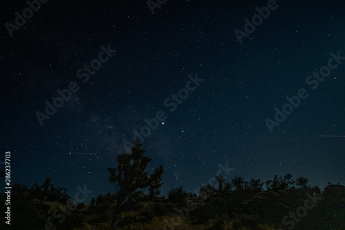 Fototapeta Naklejka Na Ścianę i Meble -  Night Sky at Joshua Tree National Park,  California