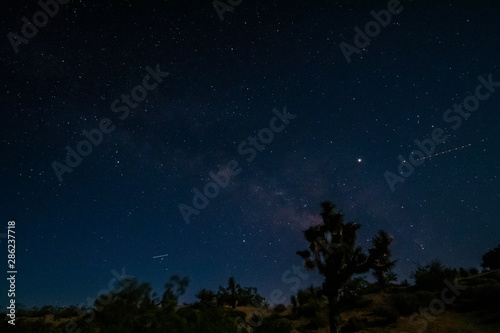 Night Sky at Joshua Tree National Park, California