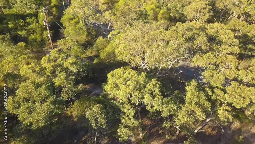 A Forest in a Australian Nationalpark from above A Forest in a Australian Nationalpark from above