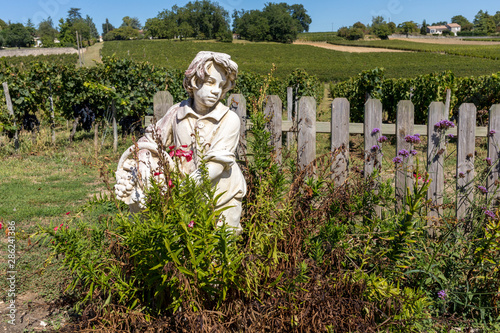 Statue of a boy holding a basket with grapes on the background of vineyards in the Saint Emilion region. France
