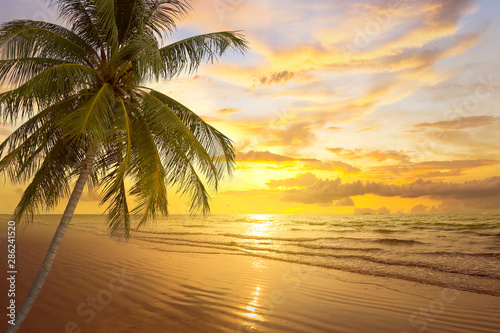 tropical palm tree and sea at sunset