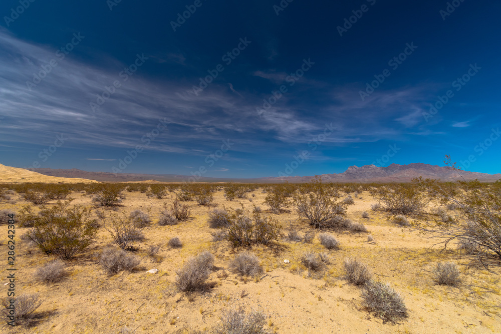 Sand Dunes In Mojave Desert National Preserve Sand Dunes In Mojave Desert National Preserve