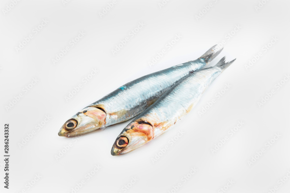 Photo detail of two fresh isolated anchovies on a white background. Concept of seafood. Photo detail of two fresh isolated anchovies on a white background. Concept of seafood.