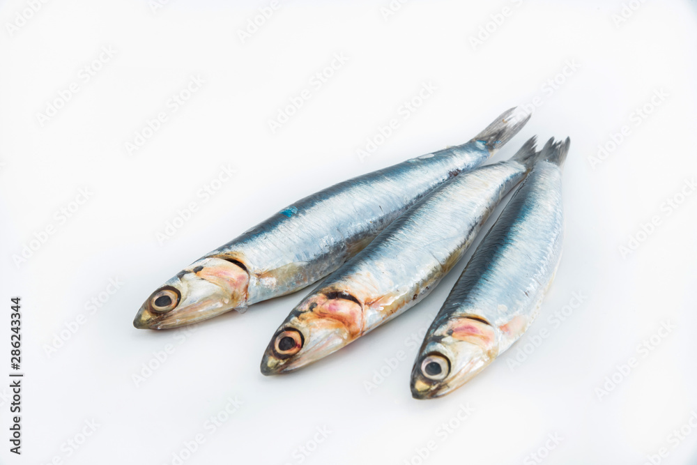 Three fresh anchovies on a white background. Concept of seafood. Three fresh anchovies on a white background. Concept of seafood.