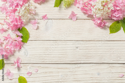 pink hydrangea on white wooden background