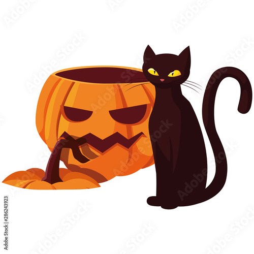 pumpkin cat happy halloween celebration