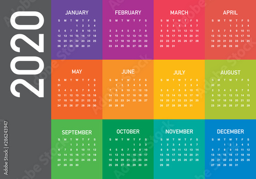 Year 2020 calendar vector design template