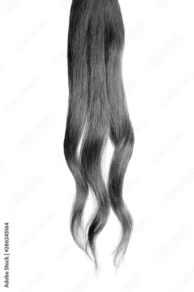 Brown hair, isolated on white background Brown hair, isolated on white background