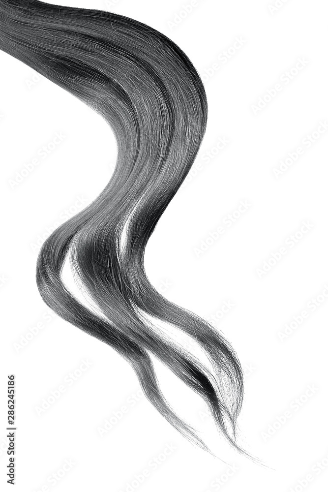 Brown hair, isolated on white background Brown hair, isolated on white background