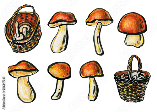 Mushrooms and wicker baskets.