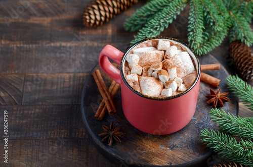 Hot chocolate with marshmallows on rustic wooden background. Christmas concept decorated with Fir branches and Cones.