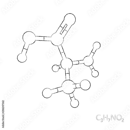 Alanine model molecule. Isolated on white background. Sketch illustration.