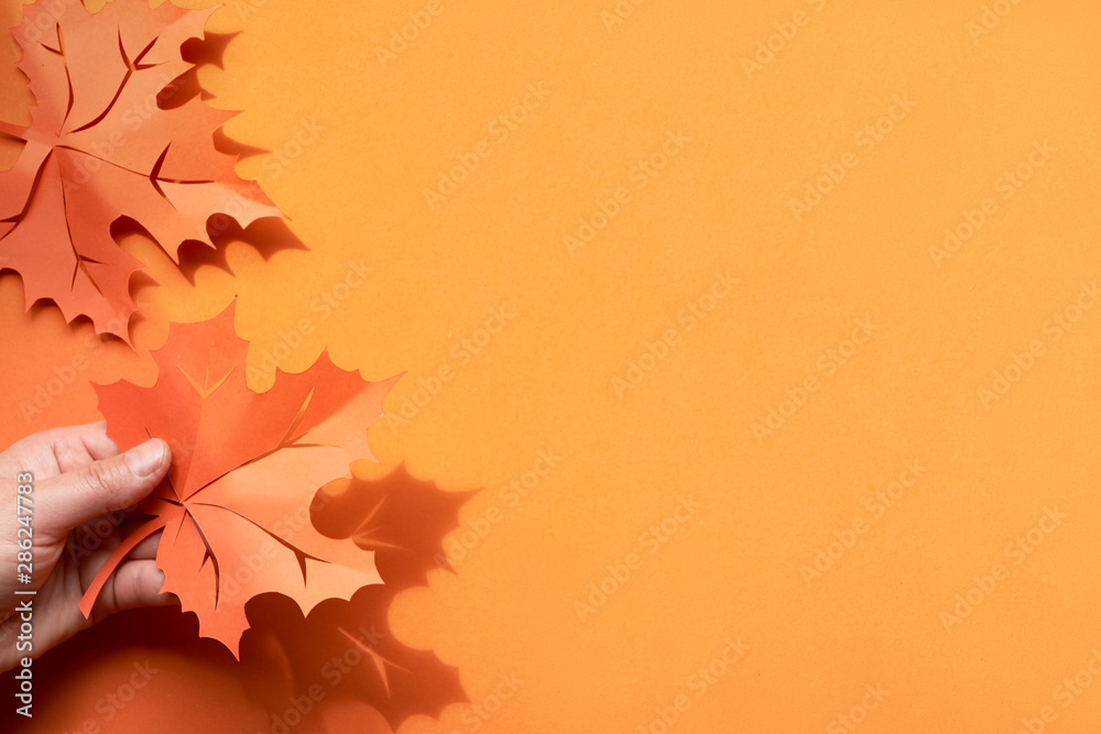Autumn leaves with shadows, flat lay with copy-space on paper background Autumn leaves with shadows, flat lay with copy-space on paper background