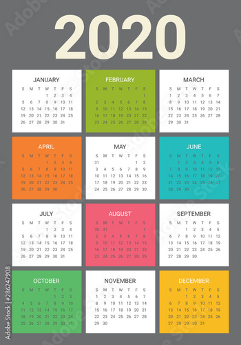 Year 2020 calendar vector design template