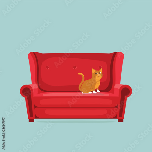 Cute cat is sitting on the red sofa.