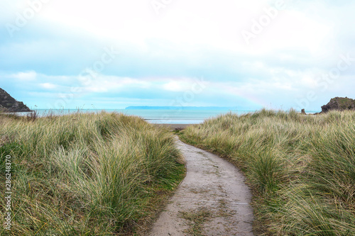 the pathway leads down to the beach and is full of grass on both sides.